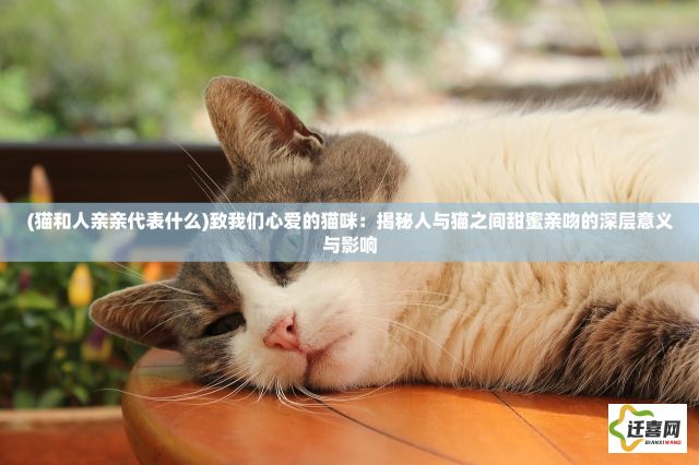 (猫和人亲亲代表什么)致我们心爱的猫咪：揭秘人与猫之间甜蜜亲吻的深层意义与影响