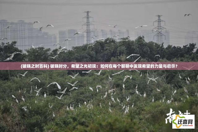 (破晓之时百科) 破晓时分，希望之光初现：如何在每个黎明中发现希望的力量与启示？