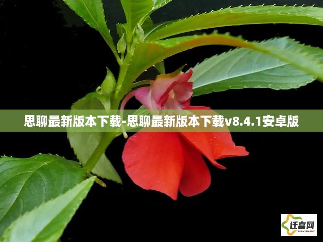 思聊最新版本下载-思聊最新版本下载v8.4.1安卓版