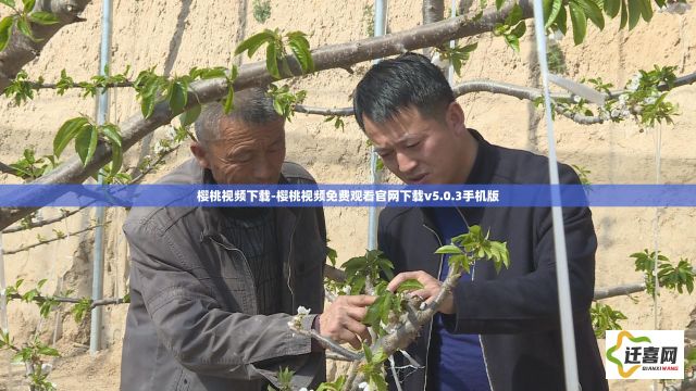 樱桃视频下载-樱桃视频免费观看官网下载v5.0.3手机版