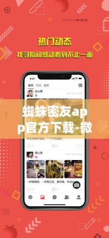 蜘蛛密友app官方下载-微信密友安卓版v4.4.8官方安卓版